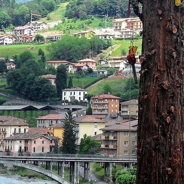 Prove pratiche di soccorso in pianta