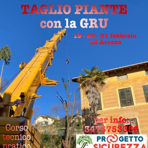 19-20-21 GENNAIO 2026  CORSO PRATICO ABBATTIMENTO CONTROLLATO CON AUTOGRU