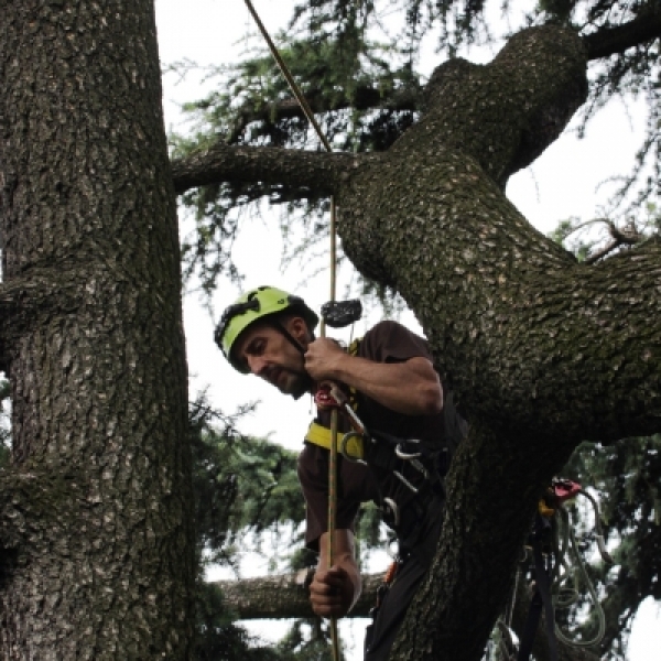 8-9-10-11 SETTEMBRE 2025 - CORSO DI TREECLIMBING BASE + MODULO B
