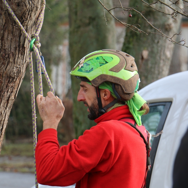 15-16-17-18 GENNAIO 2024 - CORSO DI TREECLIMBING BASE + MODULO B