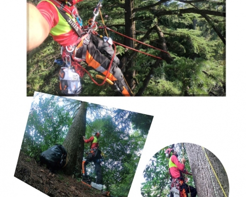 6-7-8-9 APRILE 2022 - CORSO DI TREECLIMBING BASE + MODULO B